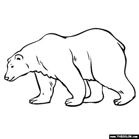 Polar bear coloring pages momjunction. Polar Bear Coloring Page