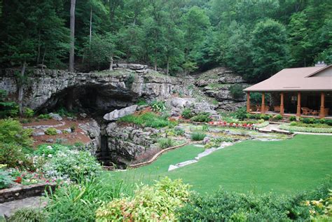 Maybe you would like to learn more about one of these? Nummer's: Natural bridge behind my house. [Non-OC ...