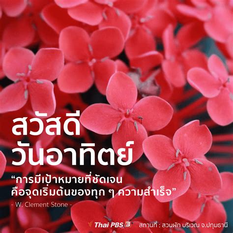 Tpbs operates thai pbs (ไทยพีบีเอส), which was formerly known as itv, titv and tv thai television station, respectively. ดอกเข็ม - Thai PBS สวัสดีทุกสีวัน