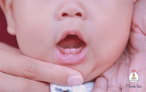 Monat kommen in der regel die zähne durch. Consejos sobre el cuidado y lavado de los dientes en bebés