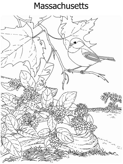 If you have any issue regarding a design contact me i'm here to help you State Flower and State Bird coloring page