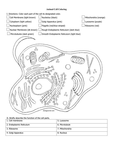 Featured in this printable worksheet are the diagrams of the plant and animal cells with parts labeled vividly. Free essys, homework help, flashcards, research papers ...