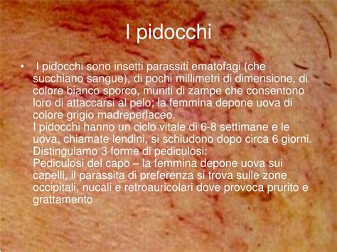 PPT - DERMATOSI DA PARASSITI PowerPoint Presentation, free ...