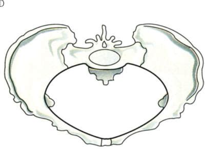 PARTO - Dizionario medico - Corriere.it