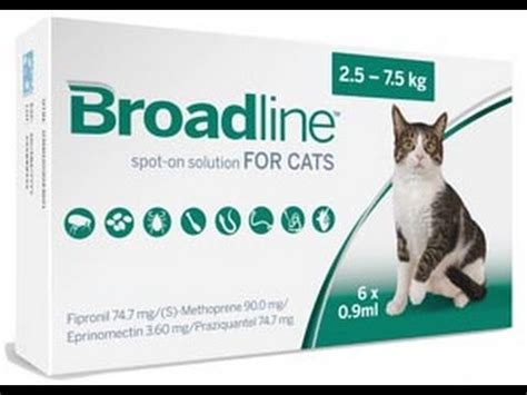 Flea infestations that go untreated can be burdensome and make your cat extremely ill. How to apply BROADLINE for cats - YouTube