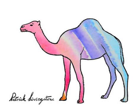 Figuratively, a camel's nose is a metaphor for a situation where the allowance of a small act will lead to a larger, undesirable act. How to draw a Dromedary Camel step by step - Easy Animals ...