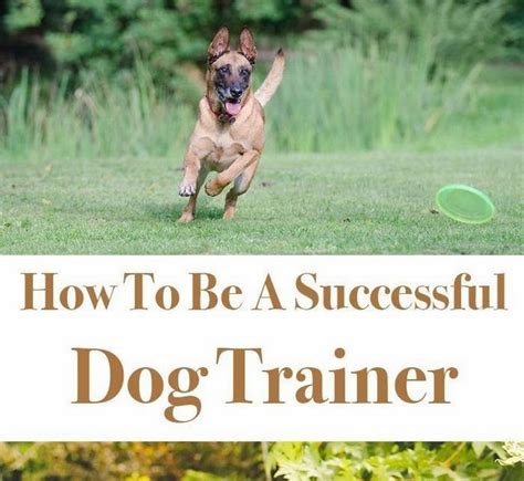 Aggression is one of the most common behavioral issues in dogs and it can be dangerous for people and other animals. Lovely Dog: how to stop dog protective aggression