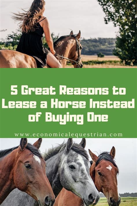 Address, phone number, aircraft leasing malta reviews: Horse Leasing Stables Near Me