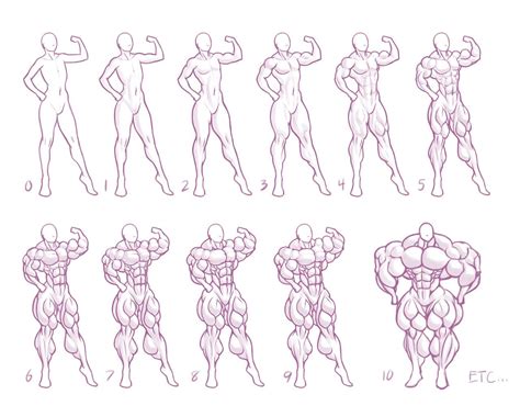 This video is all about how to draw female torsos. Size Chart #5: Muscle by MoxyDoxy - Art References ...