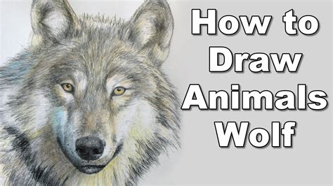 Improve your animal drawings with these simple. Animal Drawing Realistic at GetDrawings | Free download
