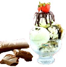 F & n ice cream manufacturıng (m) sdn. AL JAZEERA ICE CREAM SDN BHD