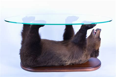 Maybe you would like to learn more about one of these? https://taxidermyanimal.com/products/bear-taxidermy-skin ...