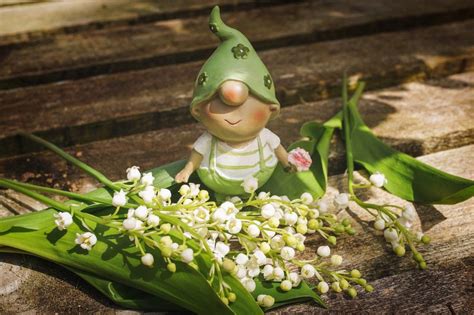 « je fais le muguet depuis que je suis enfant, c'est une tradition familiale », explique remy vienot preuve que la tradition ne se perd pas donc. Covid - 19: les fleuristes plaident pour une ouverture le ...