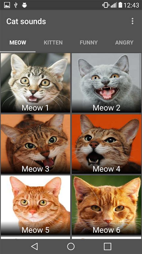 Cat Sounds - Android Apps on Google Play