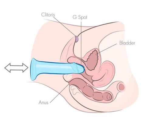 Like when your dog shakes a toy to death to get the stuffing out. Learn How To Use A Dildo For Maximum Self Pleasure