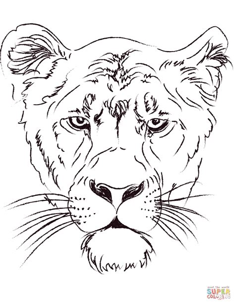 The average male lion weighs around 180 kg (400 lb) while the average female lion weighs around 130 kg (290 lb). Lion Colouring Pages For Adults Coloring Colored Free ...