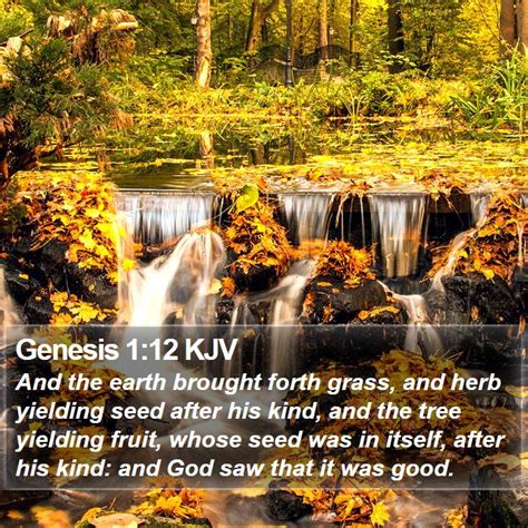 Maybe you would like to learn more about one of these? Genesis 1:12 KJV - And the earth brought forth grass, and herb