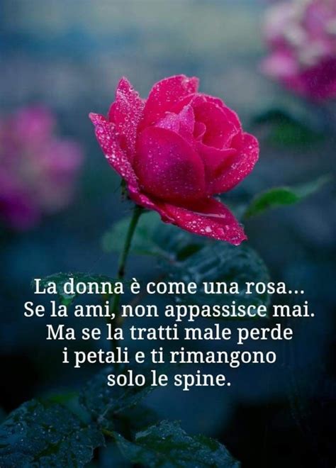 26 aforismi e citazioni sulla donna scritti da donne. 45+ Belle Frasi da condividere su Facebook - BestImmagini.it