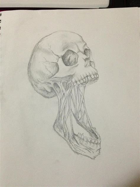 There are many varieties of tablet to choose from, but setting them up is. Stretched out Skully Drawing by Eva Lu