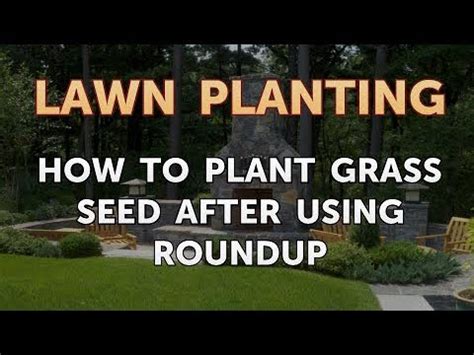 By the time this is done you the roundup will have. How to Plant Grass Seed After Using Roundup - YouTube