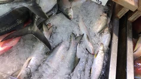 Voices markets & bazaars · sound effects library. Fish in Chinatown Market Place in Kalihi - YouTube