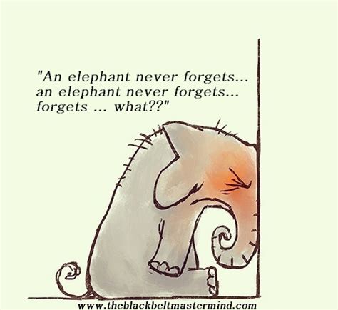 An elephant never forgets quote. The phrase "an elephant never forgets is wrong!" - NLP Training to Change your Mind & Life with ...