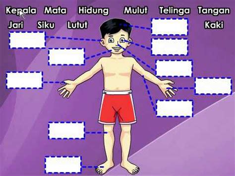 Pembunuhan darjah 1 vs 2. SAINS : Tahun 1 - Diri Kita - YouTube