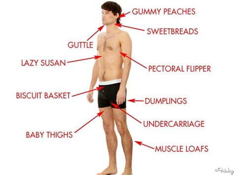 Everybody's bodies are different, but there are some basic parts that are the same. Pin on Funny