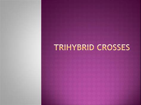 Let's now examine a dihybrid cross that involves two traits. PPT - Trihybrid Crosses PowerPoint Presentation, free ...