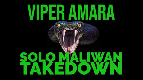 Press start, and that is how you start the maliwan takedown/blacksite. MY MALIWAN TAKEDOWN BUILD w/ GAMESAVE! // EASILY SOLO!! // Viper Amara Build - YouTube