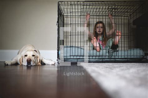 You invest in a dog. A little girl in a dog cage and a sleeping dog — Photo ...