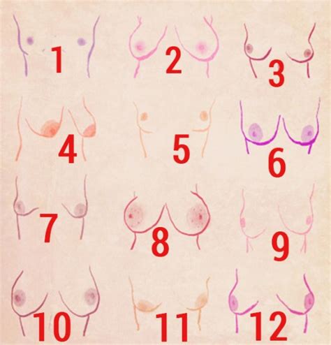 Do you have a normal or the most common breast by normal, i mean the most common type. WHAT YOUR BREAST SAYS ABOUT YOU - BlakkPepper.com