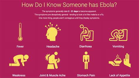 Four of the six known ebolaviruses, including ebov, cause a severe and often fatal hemorrhagic fever in humans and other mammals, known as ebola virus disease (evd). Symptoms of Infection - VIRUS PROJECT: EBOLA