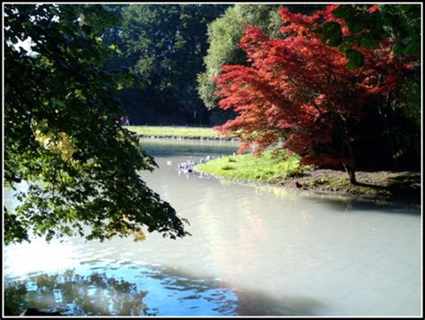 Er bietet eine wunderschöne aussicht ins grüne und auf die liegewiese bzw. Pension Englischer Garten Muenchen | Dolce Vizio Tiramisu