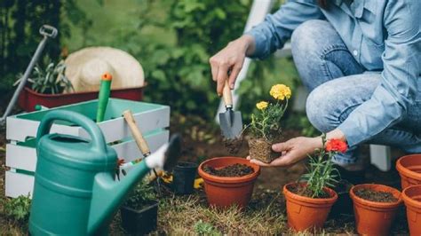 Lowongan kerja tukang kebun di semarang. Tukang Kebun Swedia yang Bikin 'Geger' Warga Jepang