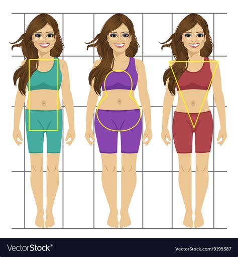 Different parts of woman body. Different women s figures Three female body types Vector Image