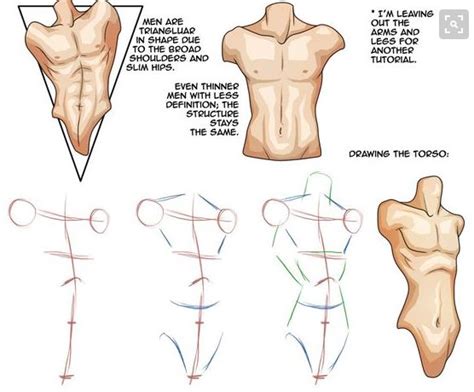 Have you ever seen an artist mannequin? Drawing a torso | Anatomy drawing, Drawings, Drawing tutorial