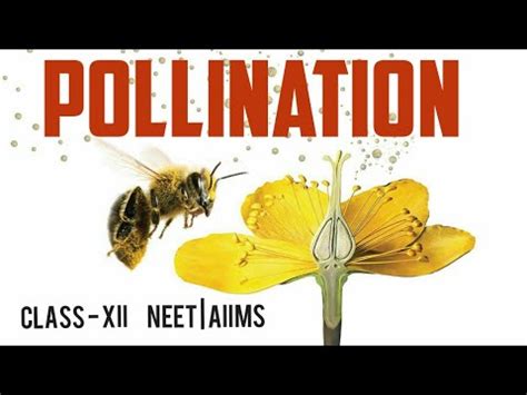 What are the advantages of pollination? pollination, self pollination - self pollination ...