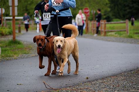 See more of big backyard 5k on facebook. King County Parks 1st annual Big Backyard 5K | Brought to ...