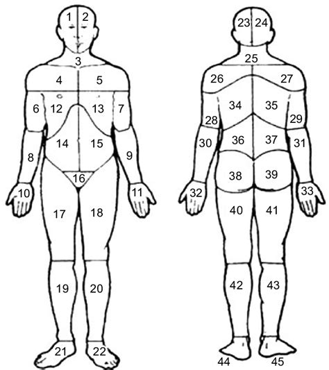 Find images of human body. Body manikins used to define the 45 pain sites in the front and the... | Download Scientific Diagram