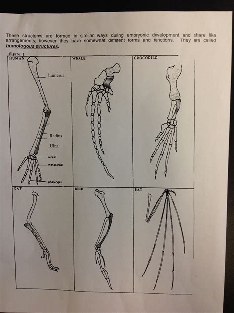 Merely said, the beaks of finches state lab answer key is universally compatible with any. Evolution - Mr. Velasquez