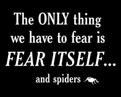 Check spelling or type a new query. Totally true. I cannot handle spiders. Even the kids know that. | Funny quotes, Words, Quotes