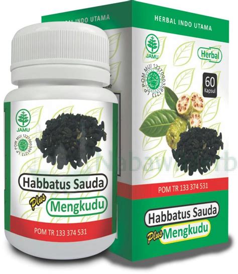 Banyakkan makan sayur2 hijau dan buah2 berwarna warni. Obat Herbal Habbatus Sauda Plus Mengkudu Meningkatkan ...