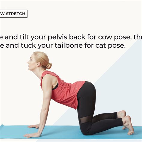 Slow stretching yoga asana for neck: Cat And Cow Stretch Exercise