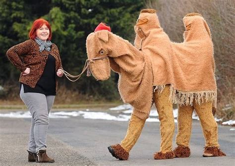 Nativity animals costumes are a part of every christmas play. Pin on Camel costume