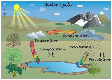 Pelarutnya dalam kebanyakan hal adalah air, tetapi dapat juga cairan lain. Evaporasi Adalah Proses / Siklus Hidrologi Siklus Air ...