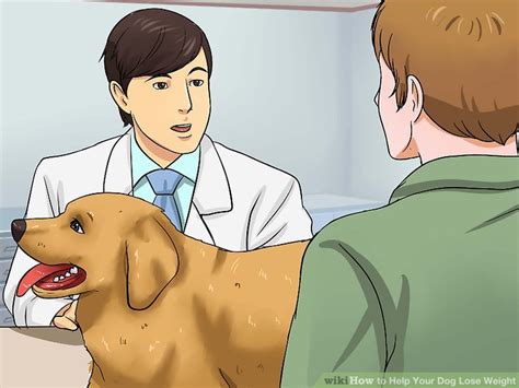 These games help him lose weight quickly. How to Help Your Dog Lose Weight (with Pictures) - wikiHow