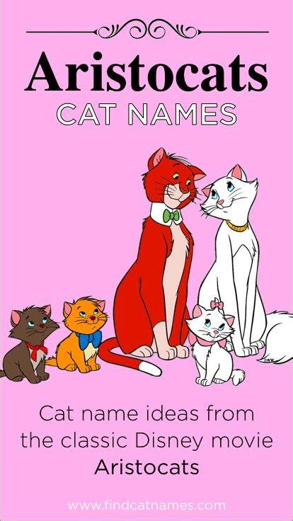 The cats in older disney films are some of the most beloved and memorable characters. Cat name ideas from the Aristocats. The classic Disney ...