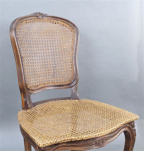 Rattan chairs and cane chairs for the garden. Early 19th Century French Beech Bergère Cane Salon Chair ...