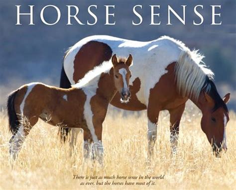 Horse sense of the carolinas. BIBLE: Horse Sense